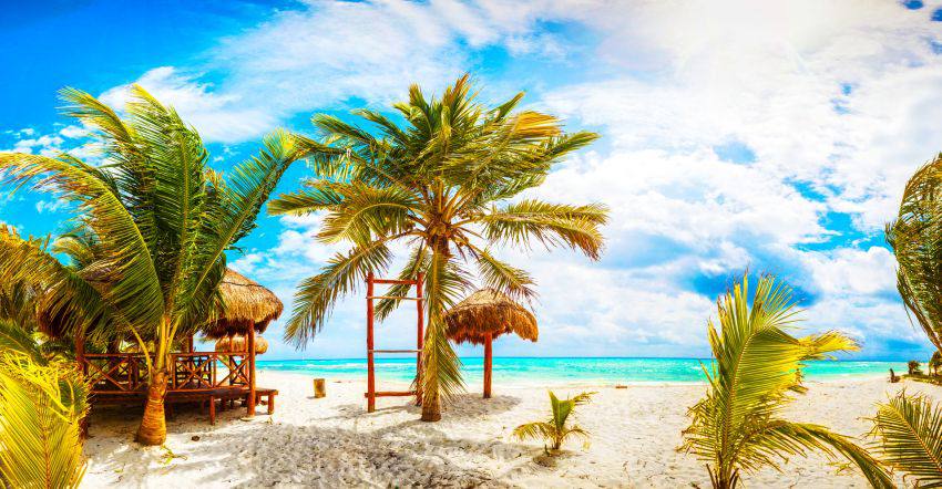 A beautiful beach with blue water and palm trees