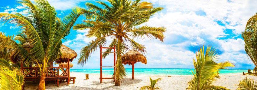 A beautiful beach with blue water and palm trees