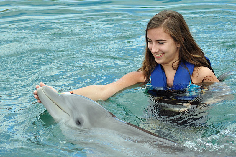 Young women swimming with a dolphin