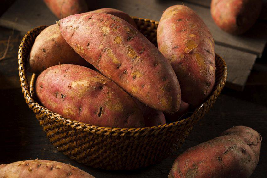 A basket full of sweet potatoes